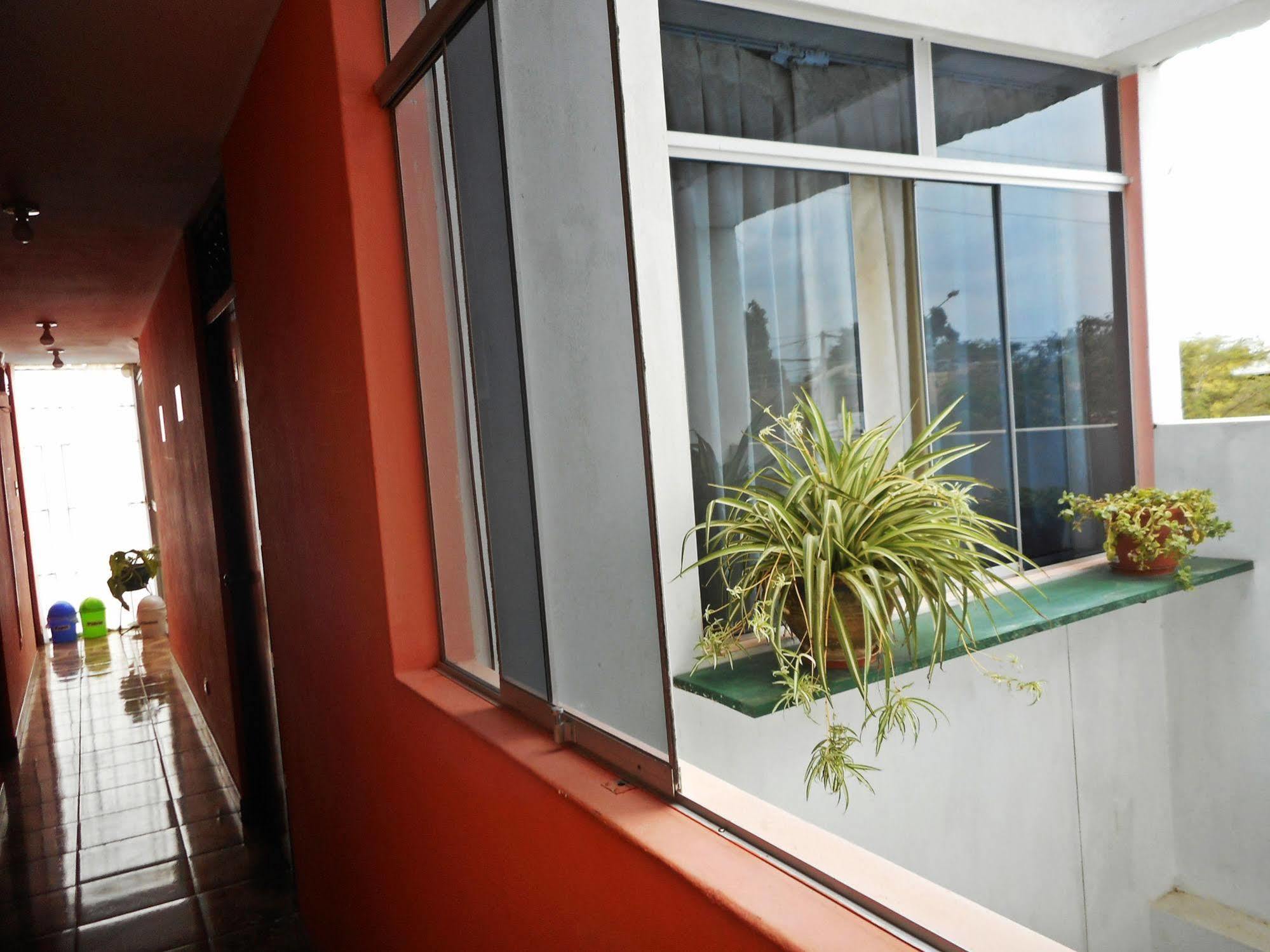 Hostal Geminis San Juan Bautista Ngoại thất bức ảnh